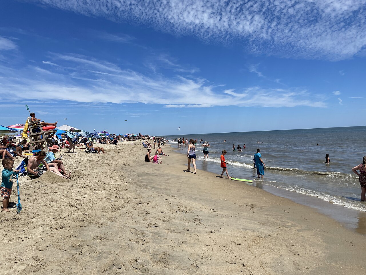 Cape Henlopen State Park