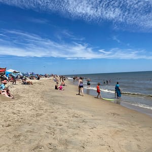 Cape Henlopen State Park
