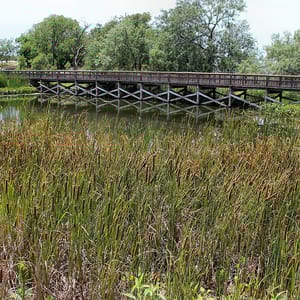 Cedar Hill State Park
