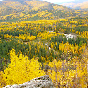 Chena River State Recreation Area