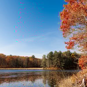 Chenango Valley State Park