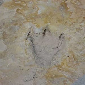 Clayton Lake State Park