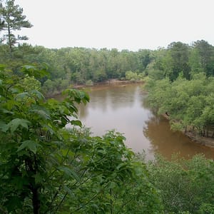 Cliffs of The Neuse State Park