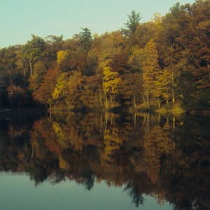 Colonel Denning State Park