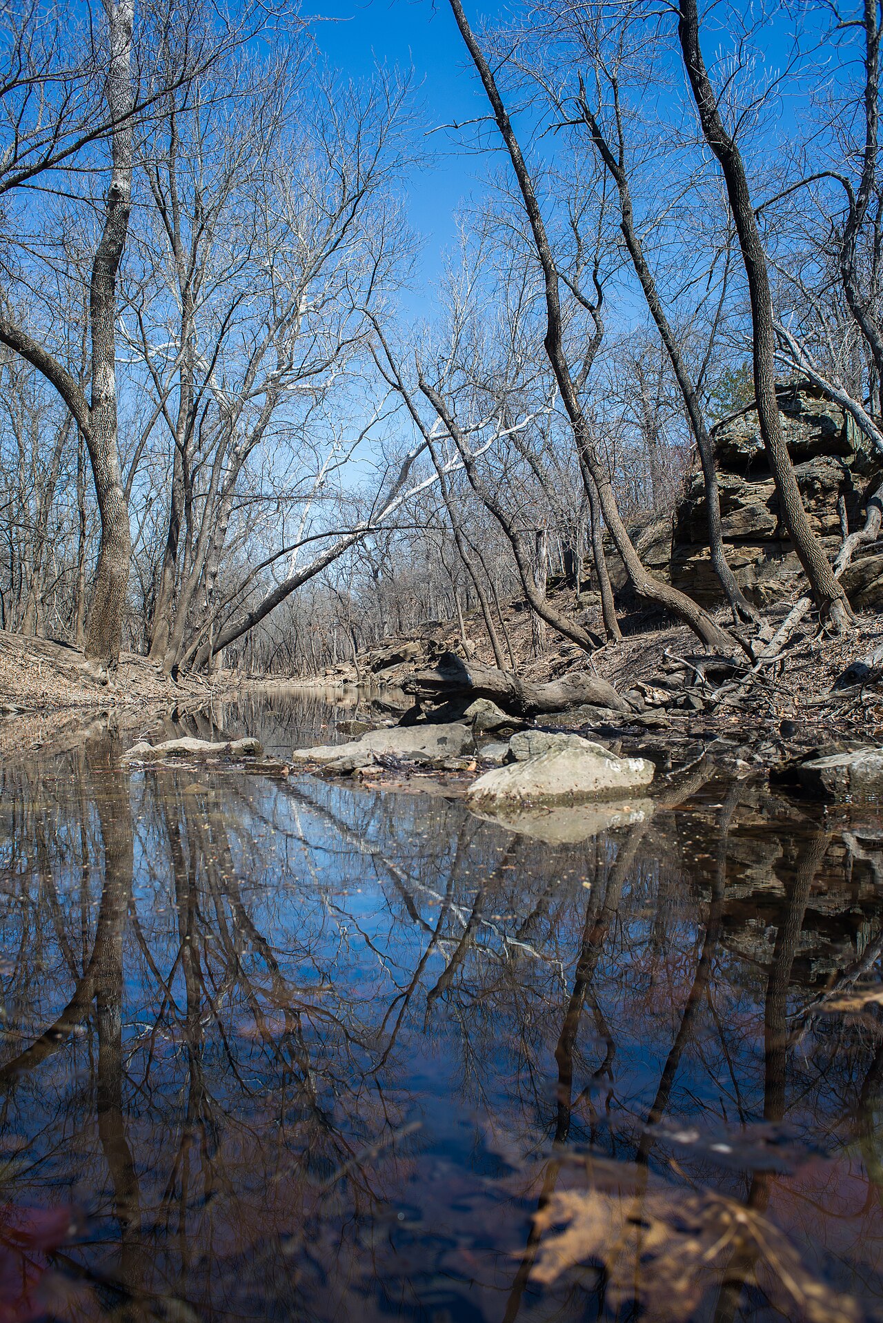 Cross Timbers State Park