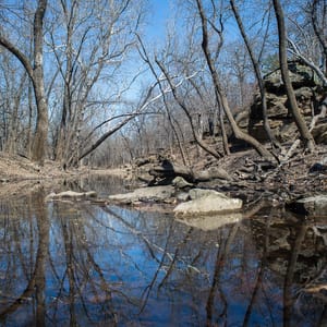 Cross Timbers State Park