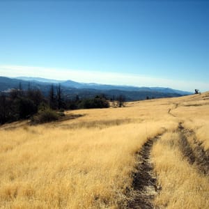 Cuyamaca Rancho State Park