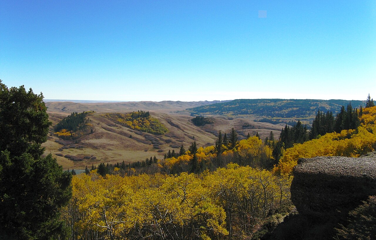 Cypress Hills Provincial Park