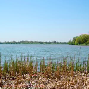 Darlington Provincial Park