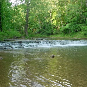 David Crockett State Park