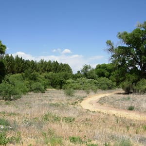 Dead Horse Ranch State Park