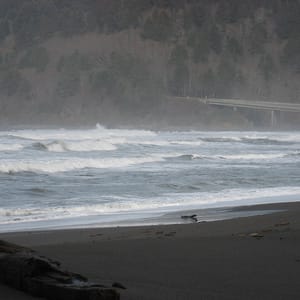 Del Norte Coast Redwoods State Park