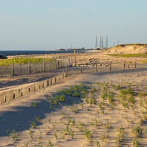 Delaware Seashore State Park
