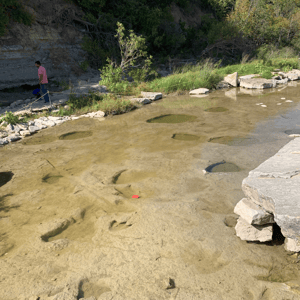 Dinosaur Valley State Park