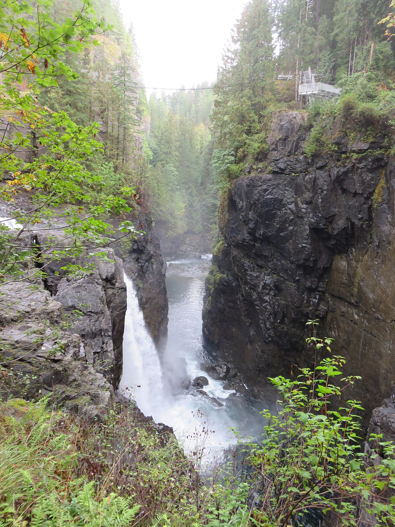 Elk Falls Provincial Park