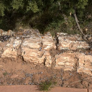Escalante Petrified Forest State Park