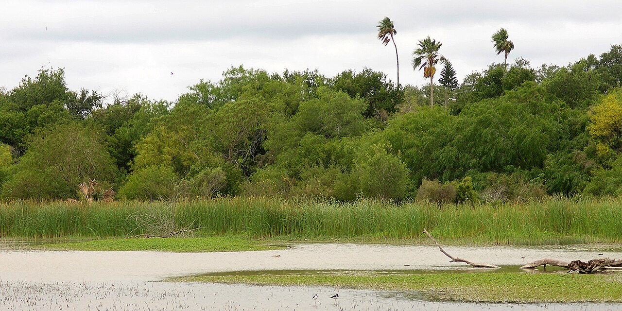 Estero Llano Grande State Park