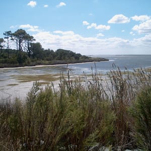 False Cape State Park