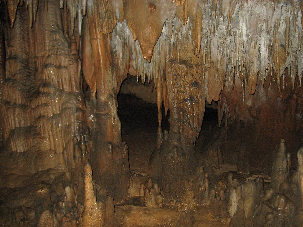 Florida Caverns State Park