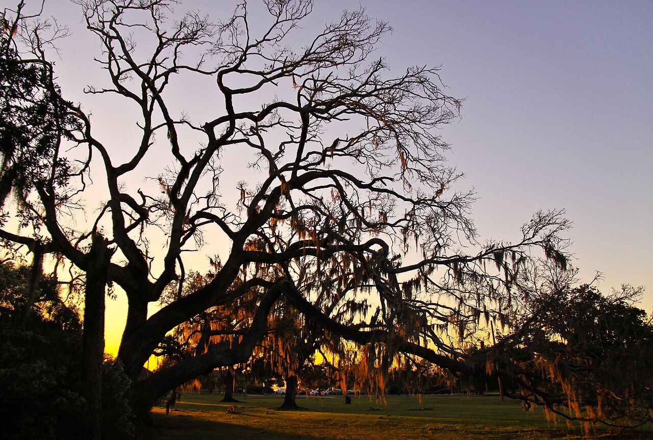 Fontainebleau State Park