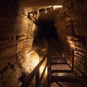 Forestville/Mystery Cave State Park