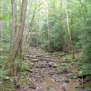 Frozen Head State Park