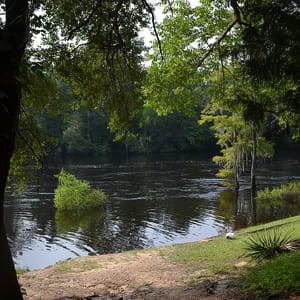 Givhans Ferry State Park