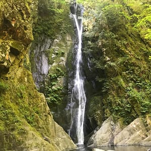 Goldstream Provincial Park