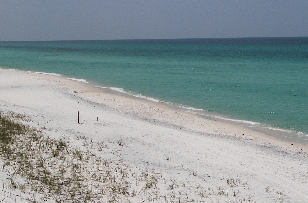 Grayton Beach State Park