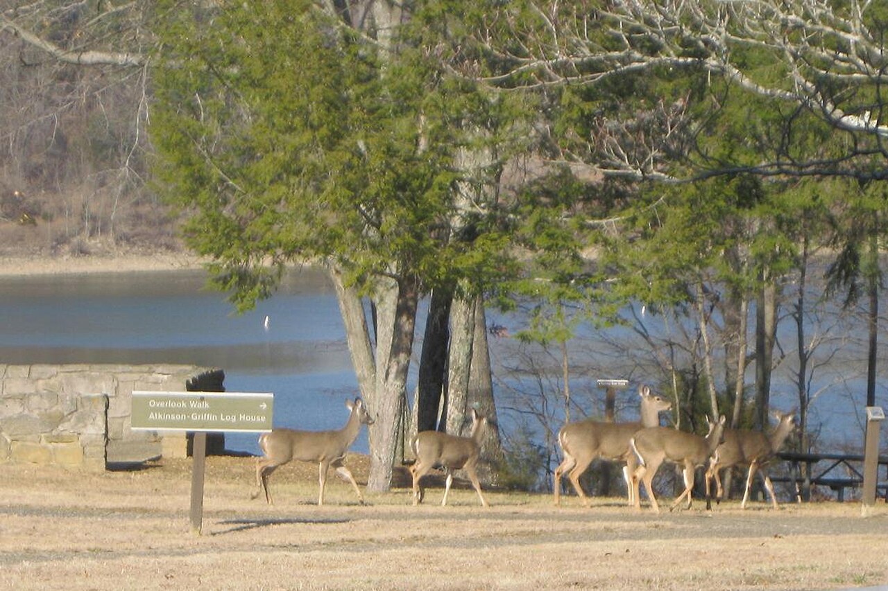 Green River Lake State Park