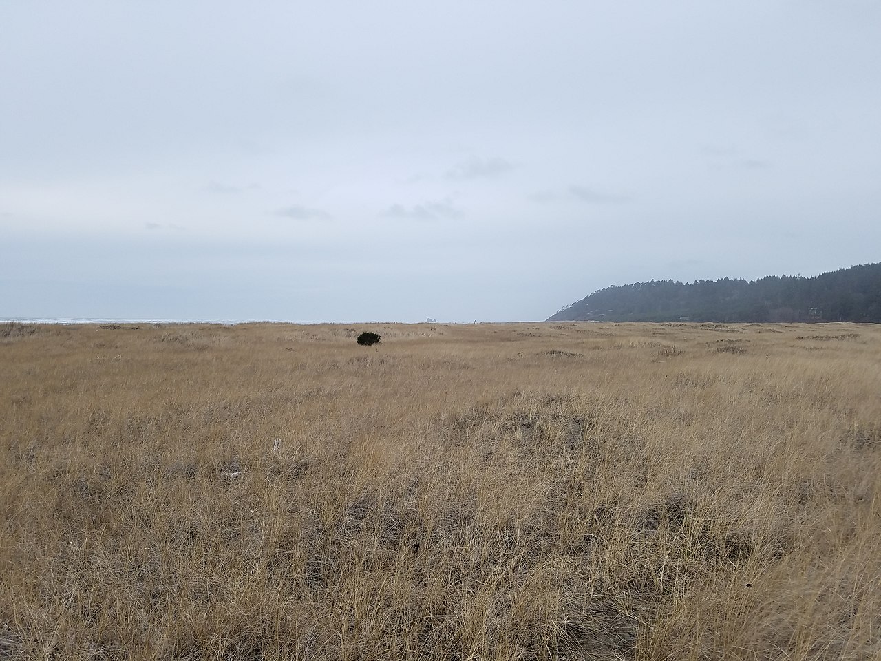 Griffiths-Priday Ocean State Park