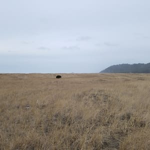 Griffiths-Priday Ocean State Park