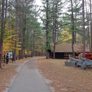 Hartwick Pines State Park