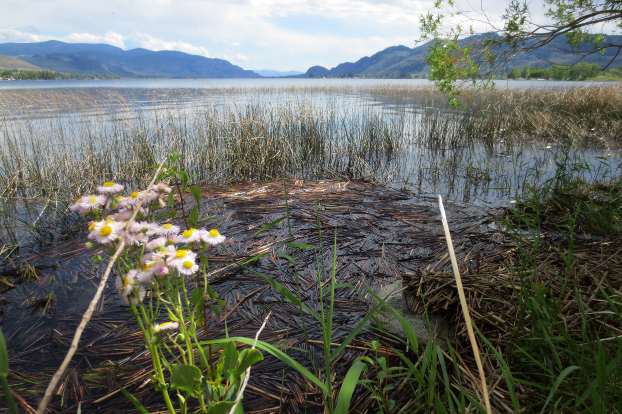 Haynes Point Provincial Park