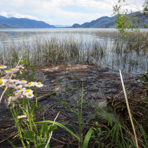 Haynes Point Provincial Park