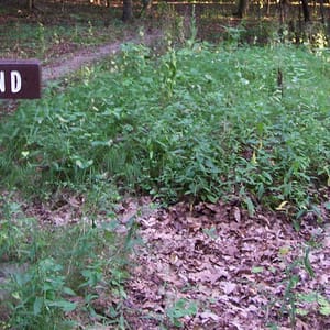 High Cliff State Park