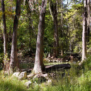 Honey Creek State Natural Area