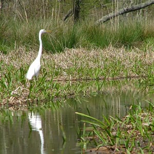 Huntsville State Park