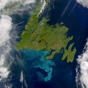 Jack's Pond Provincial Park