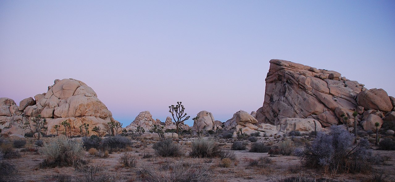 Joshua Tree National Park