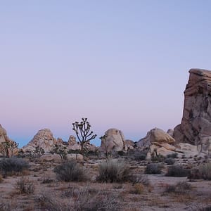 Joshua Tree National Park