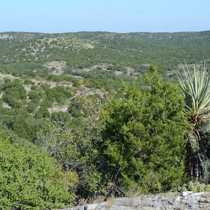Kickapoo Cavern State Park