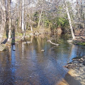 Killens Pond State Park