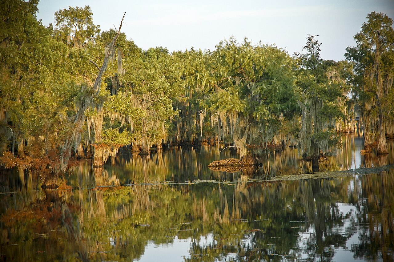 Lake Bistineau State Park