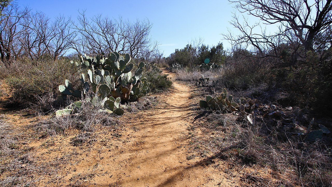 Lake Colorado City State Park