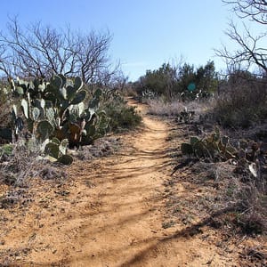 Lake Colorado City State Park