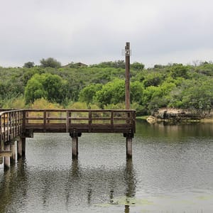 Lake Corpus Christi State Park