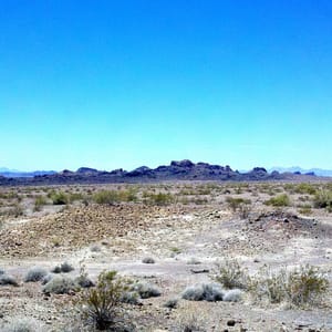 Lake Havasu State Park