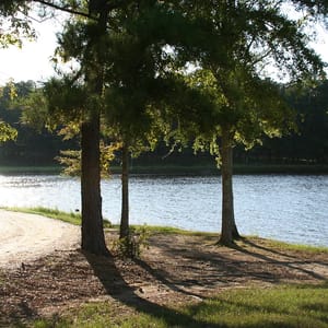 Lake Lincoln State Park