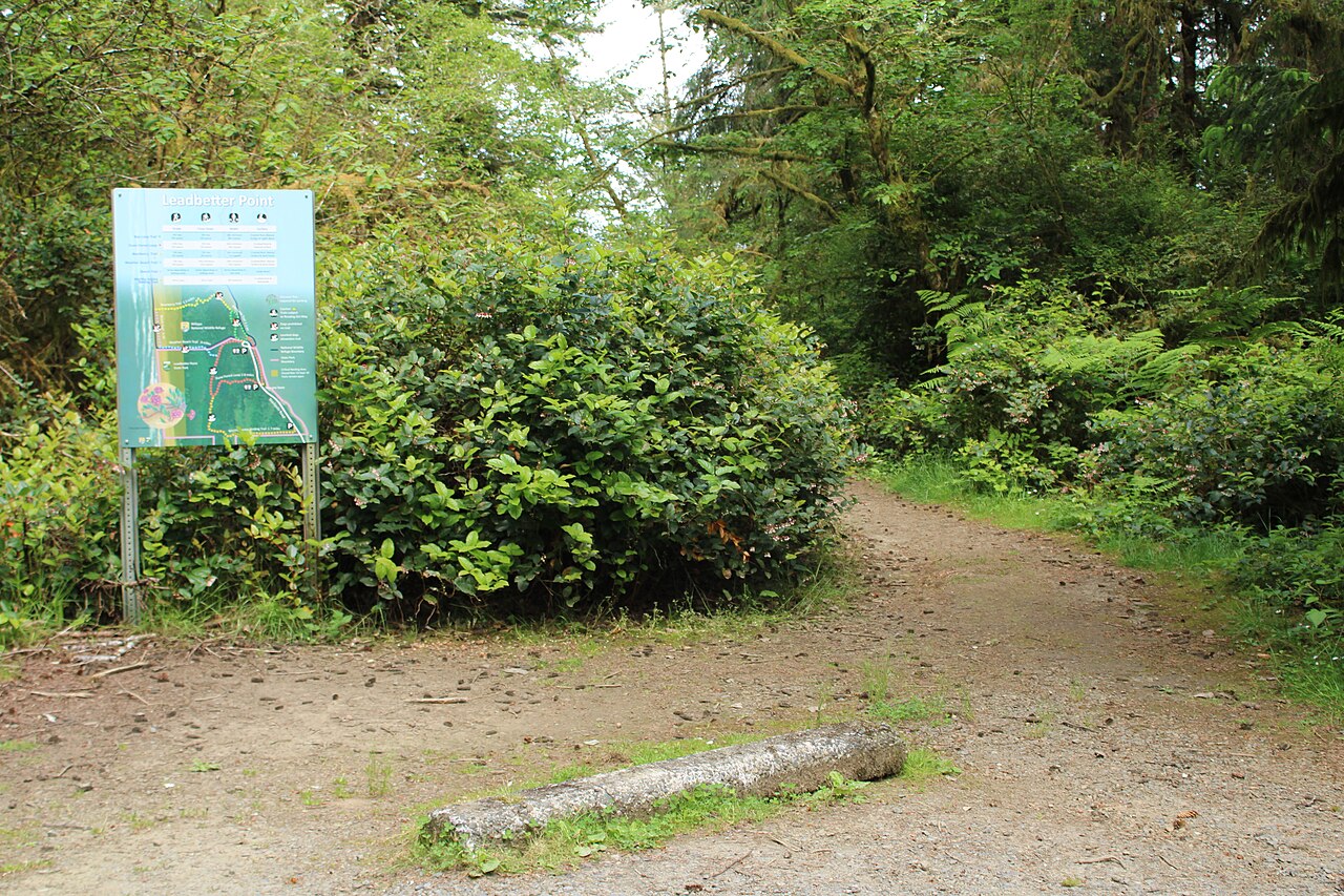 Leadbetter Point State Park